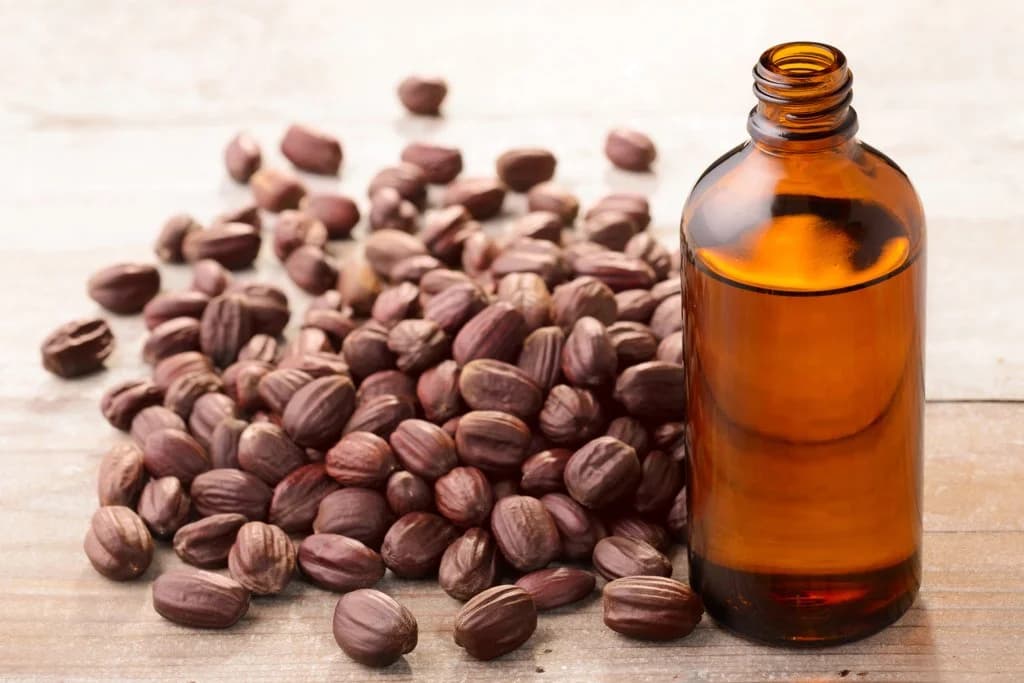 Jojoba
